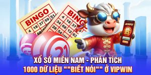 Xổ Số Miền Nam - Phân Tích 1000 Dữ Liệu "Biết Nói" Từ Vipwin